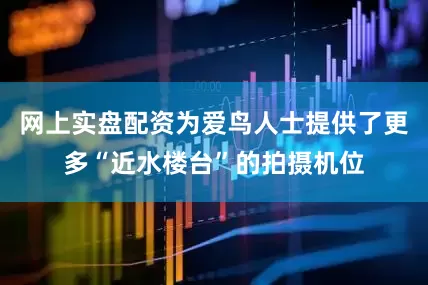 网上实盘配资为爱鸟人士提供了更多“近水楼台”的拍摄机位