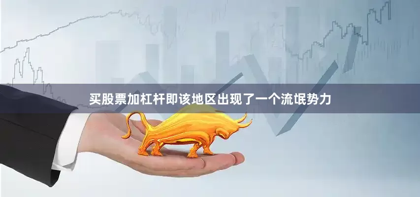 买股票加杠杆即该地区出现了一个流氓势力