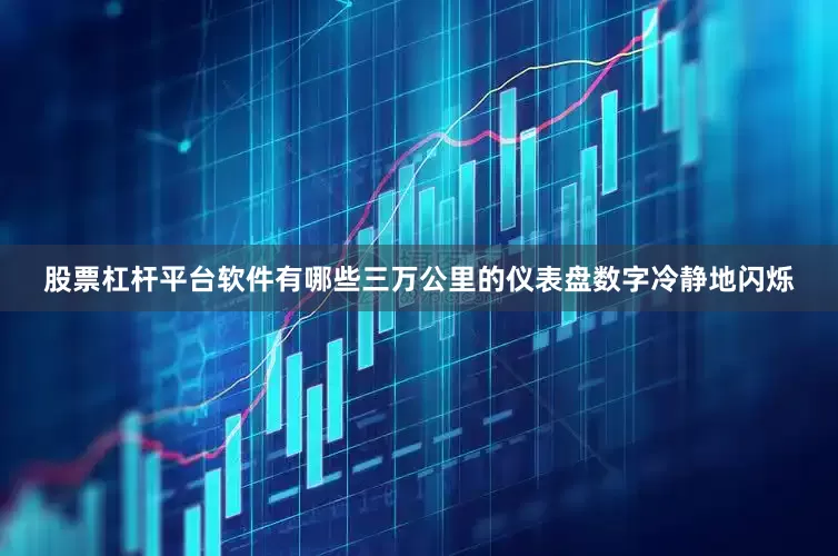 股票杠杆平台软件有哪些三万公里的仪表盘数字冷静地闪烁