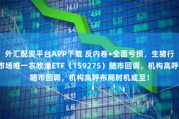 外汇配资平台APP下载 反内卷+全面亏损，生猪行业迎剧变！全市场唯一农牧渔ETF（159275）随市回调，机构高呼布局时机或至！