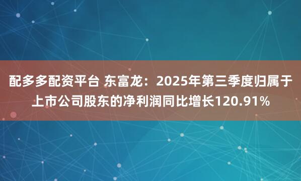 配多多配资平台 东富龙：2025年第三季度归属于上市公司股东的净利润同比增长120.91%