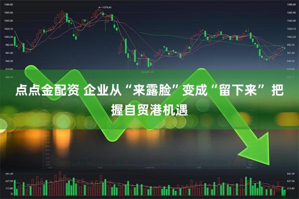 点点金配资 企业从“来露脸”变成“留下来” 把握自贸港机遇